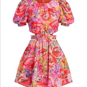 Brand New AMUR Minidress